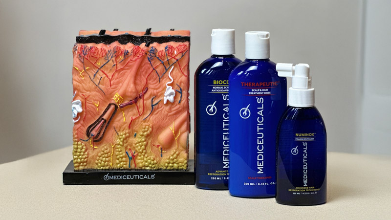 Haarwurzeln-Haarwachstum Aufbau der haarwurzel und Mediceuticals Produkte